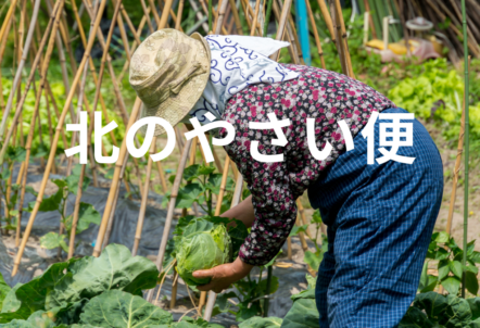 北のやさい便