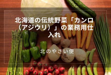 北海道の伝統野菜「カンロ(アジウリ)」の業務用仕入れ