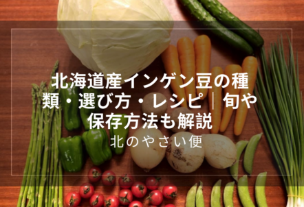 北海道産インゲン豆の種類・選び方・レシピ｜旬や保存方法も解説