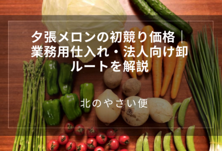 夕張メロンの初競り価格|業務用仕入れ・法人向け卸ルートを解説