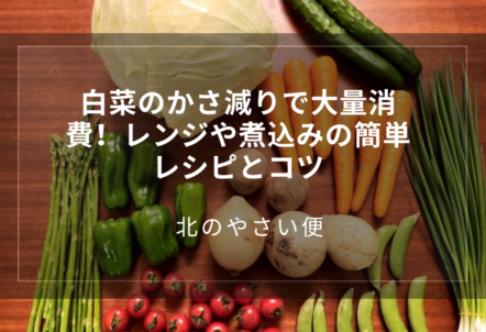 白菜のかさ減りで大量消費！レンジや煮込みの簡単レシピとコツ