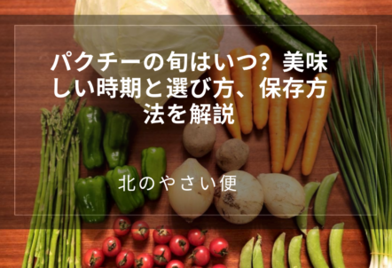 パクチーの旬はいつ？美味しい時期と選び方、保存方法を解説