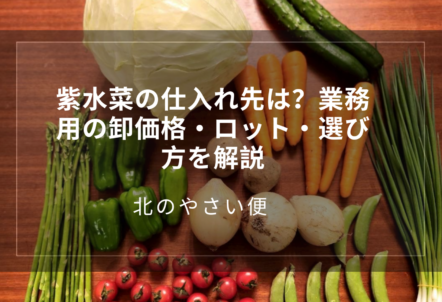 紫水菜の仕入れ先は?業務用の卸価格・ロット・選び方を解説