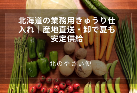 北海道の業務用きゅうり仕入れ｜産地直送・卸で夏も安定供給