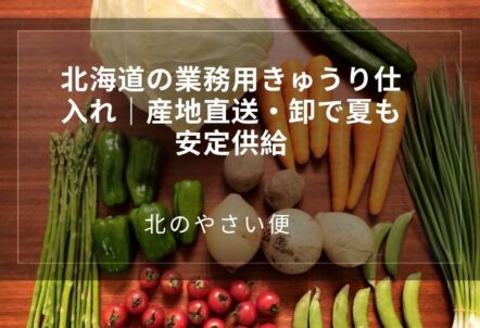 北海道の業務用きゅうり仕入れ｜産地直送・卸で夏も安定供給