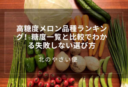 高糖度メロン品種ランキング!糖度一覧と比較でわかる失敗しない選び方