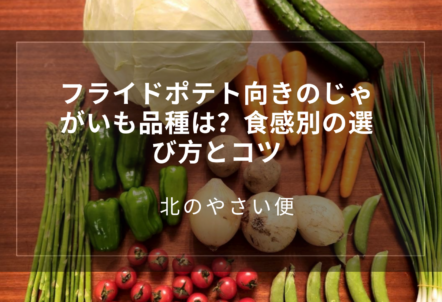 フライドポテト向きのじゃがいも品種は？食感別の選び方とコツ