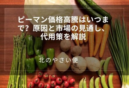 ピーマン価格高騰はいつまで？原因と市場の見通し、代用策を解説