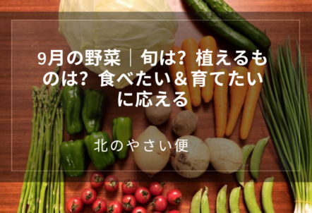 9月の野菜｜旬は？植えるものは？食べたい＆育てたいに応える