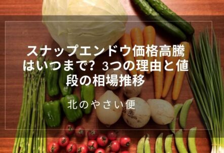 スナップエンドウ価格高騰はいつまで？3つの理由と値段の相場推移