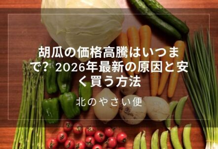 胡瓜の価格高騰はいつまで？2026年最新の原因と安く買う方法