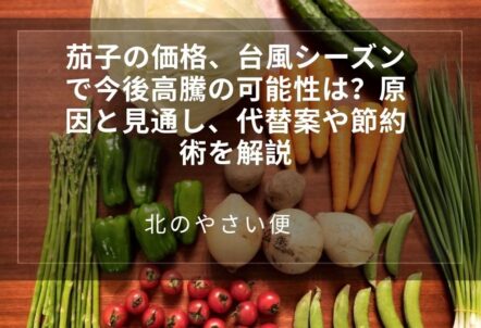 茄子の価格、台風で今後高騰の可能性は？原因と見通し、代替案や節約術を解説