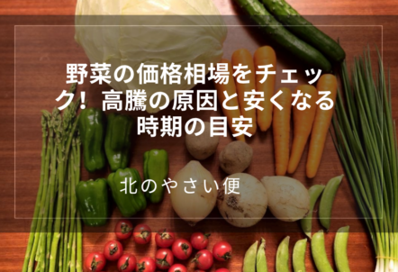 野菜の価格相場をチェック！高騰の原因と安くなる時期の目安