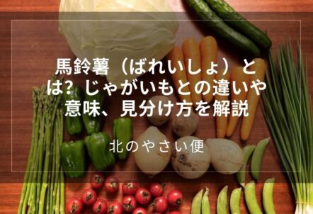馬鈴薯（ばれいしょ）とは？じゃがいもとの違いや意味、見分け方を解説