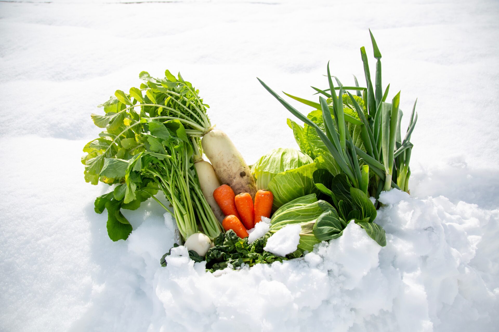 Overwintering vegetables