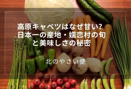 高原キャベツはなぜ甘い?日本一の産地・嬬恋村の旬と美味しさの秘密