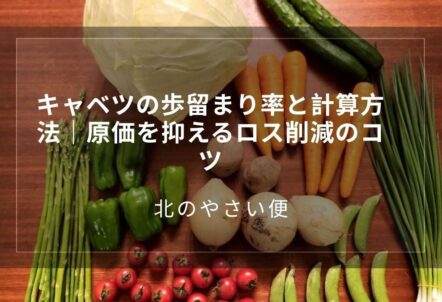 キャベツの歩留まり率と計算方法｜原価を抑えるロス削減のコツ