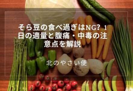 そら豆の食べ過ぎはNG?1日の適量と腹痛・中毒の注意点を解説