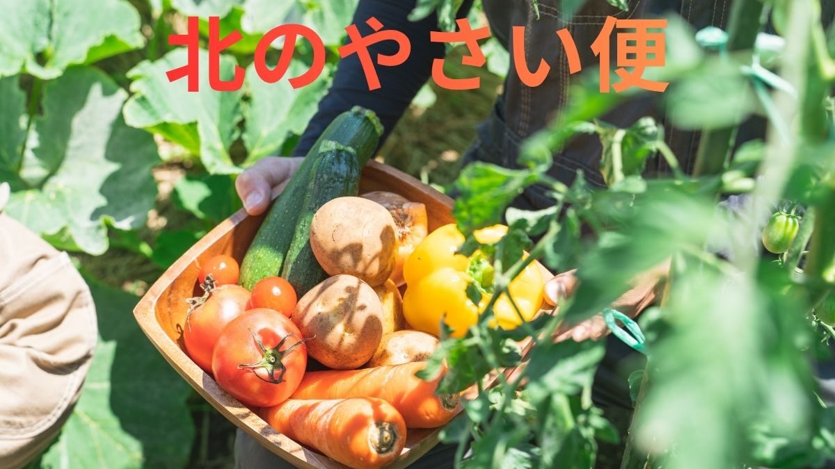 Imperfect vegetables