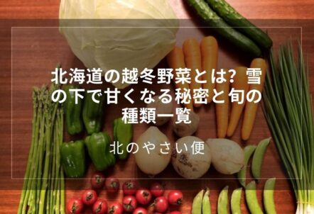 北海道の越冬野菜とは?雪の下で甘くなる秘密と旬の種類一覧