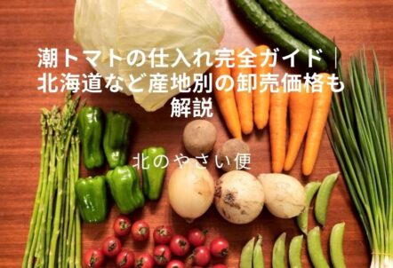 潮トマトの仕入れ完全ガイド｜北海道など産地別の卸売価格も解説