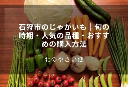 石狩市のじゃがいも｜旬の時期・人気の品種・おすすめの購入方法