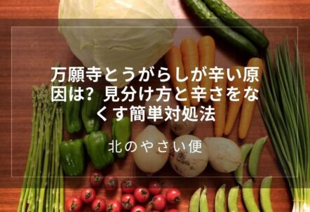 万願寺とうがらしが辛い原因は?見分け方と辛さをなくす簡単対処法