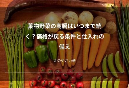 葉物野菜の高騰はいつまで続く？価格が戻る条件と仕入れの備え