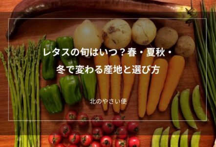 レタスの旬はいつ？春・夏秋・冬で変わる産地と選び方
