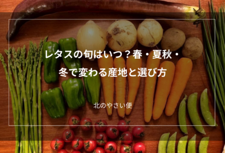 レタスの旬はいつ？春・夏秋・冬で変わる産地と選び方
