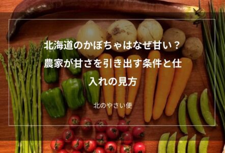 北海道のかぼちゃはなぜ甘い？農家が甘さを引き出す条件と仕入れの見方