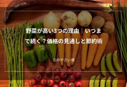 野菜が高い3つの理由｜いつまで続く？価格の見通しと節約術