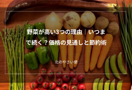 野菜が高い3つの理由｜いつまで続く？価格の見通しと節約術