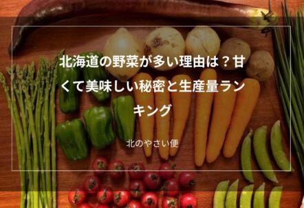 北海道の野菜が多い理由は？甘くて美味しい秘密と生産量ランキング