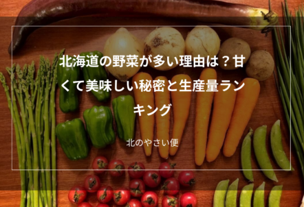 北海道の野菜が多い理由は？甘くて美味しい秘密と生産量ランキング