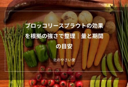 ブロッコリースプラウトの効果を根拠の強さで整理｜量と期間の目安