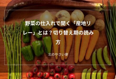 野菜の仕入れで聞く「産地リレー」とは？切り替え期の読み方