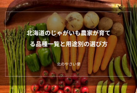 北海道のじゃがいも農家が育てる品種一覧と用途別の選び方