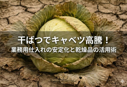 干ばつでキャベツ高騰！業務用仕入れの安定化と乾燥品の活用術