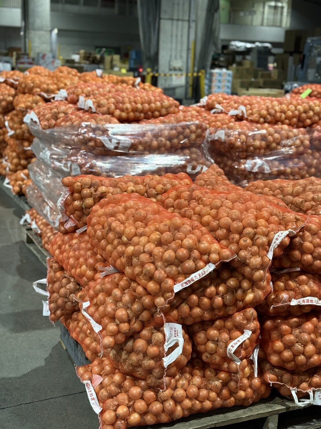 江別の野菜業務用仕入れは北のやさい便｜小ロット・当日配送