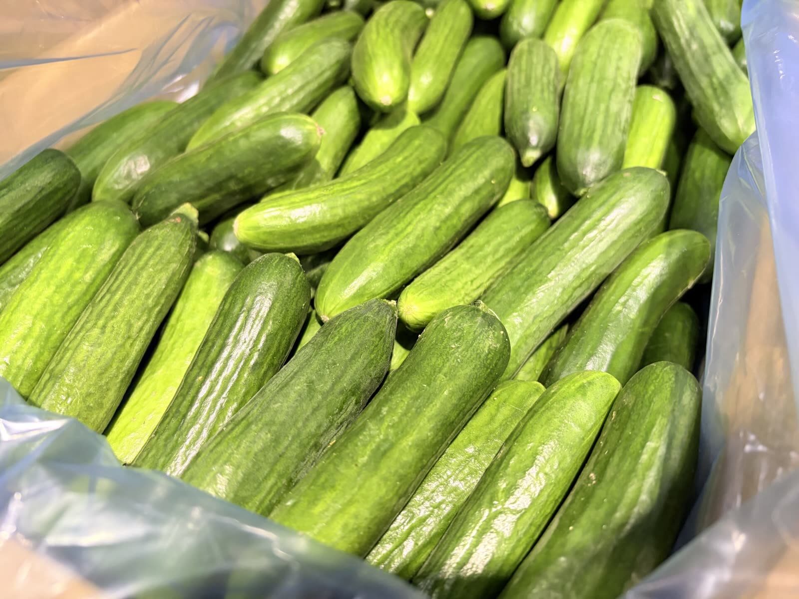 北海道の珍しい野菜・伝統野菜を卸売｜産地直送の北のやさい便
