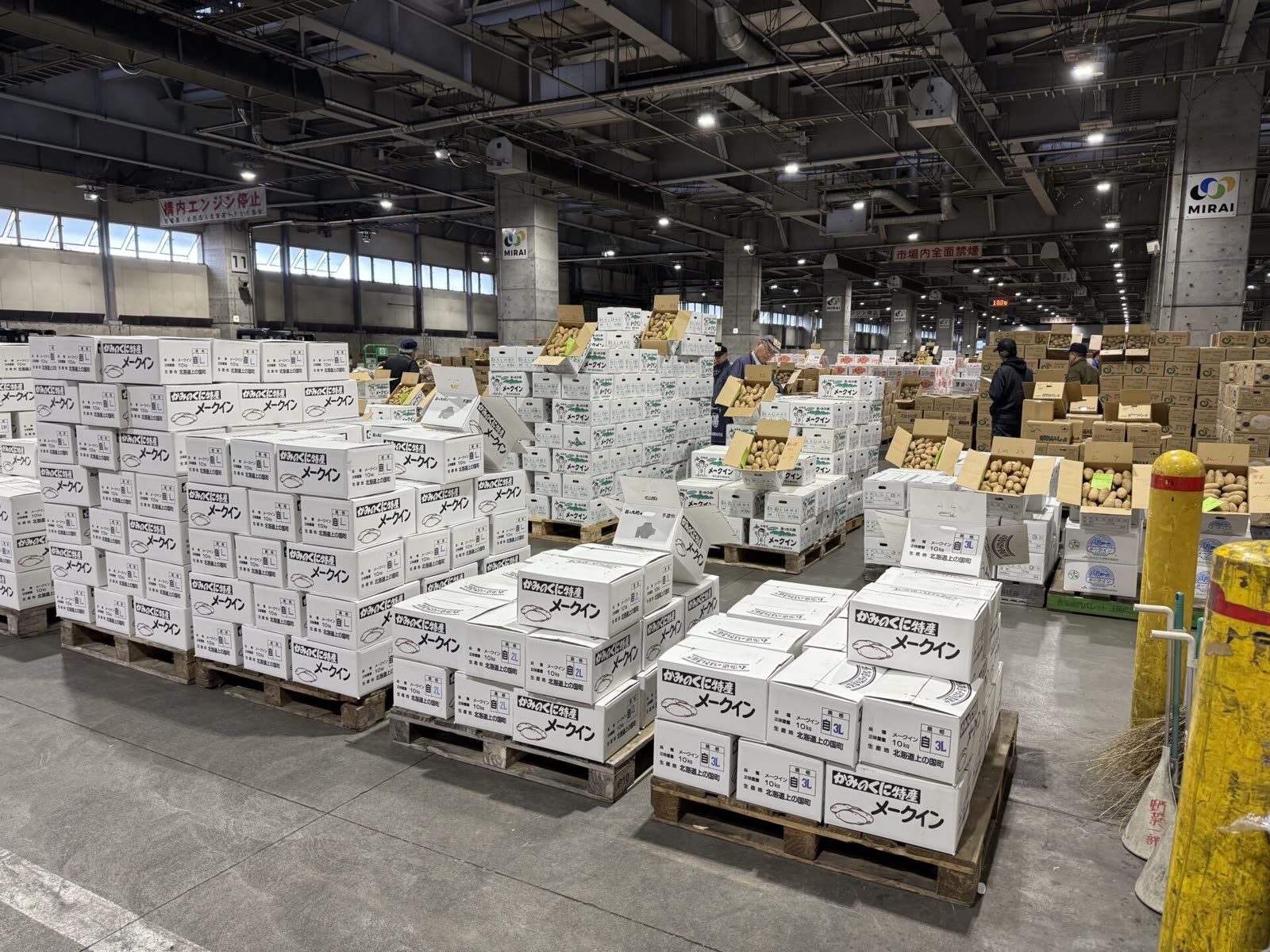 北海道産じゃがいも仕入れ｜旬・収穫時期・出荷情報まとめ