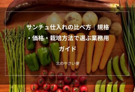サンチュ仕入れの比べ方|規格・価格・栽培方法で選ぶ業務用ガイド