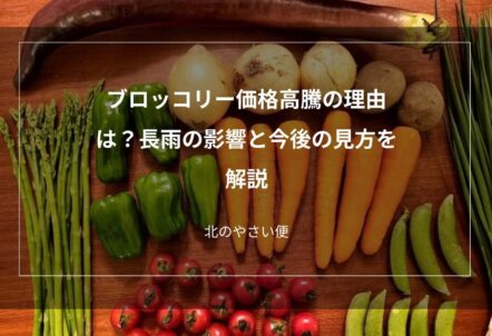 ブロッコリー価格高騰の理由は？長雨の影響と今後の見方を解説