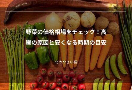 野菜の価格相場をチェック！高騰の原因と安くなる時期の目安