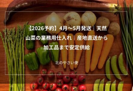 【2026予約】4月〜5月発送|天然山菜の業務用仕入れ|産地直送から加工品まで安定供給