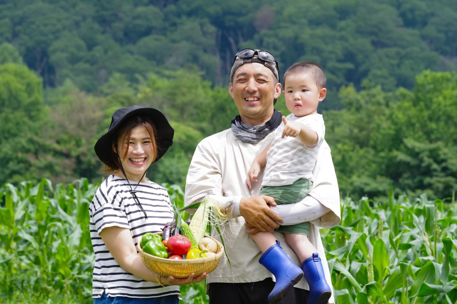 業務用野菜卸・仕入れ業者の選び方｜ロット・規格・納品条件の比較ポイント