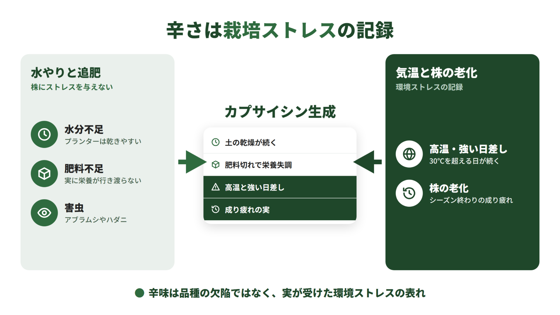 水分不足・肥料不足・害虫という管理で防げるストレスと、高温や強い日差し・株の老化というストレスが重なり、株が自己防衛でカプサイシンを作り辛い実になることを示す図