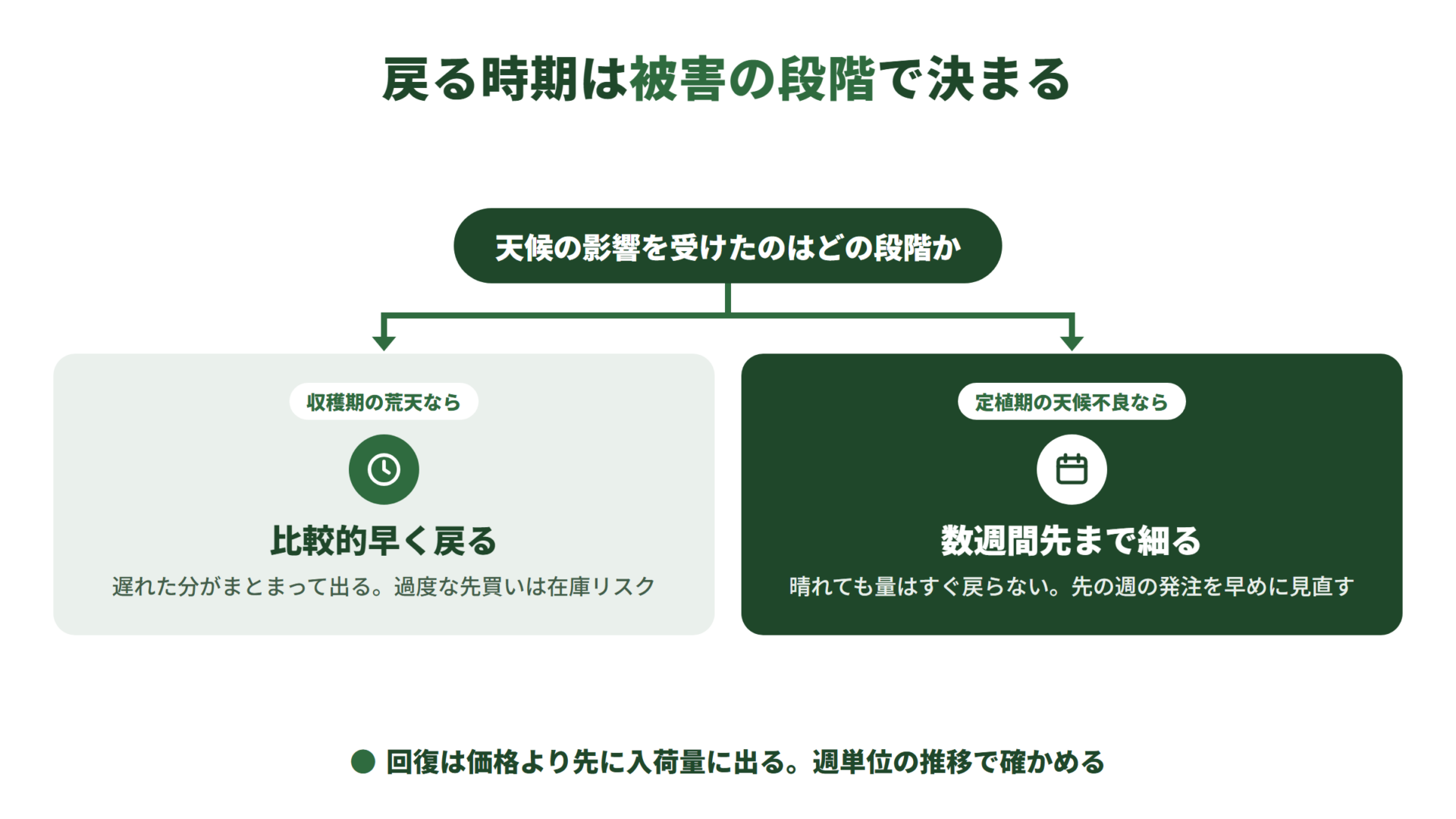 レタス高騰の戻り方を、天候の影響を受けた段階で分ける図。収穫期の荒天なら遅れた分がまとまって出て比較的早く戻る。定植期の天候不良なら数週間先の出荷が細り、天気が回復しても長引く。